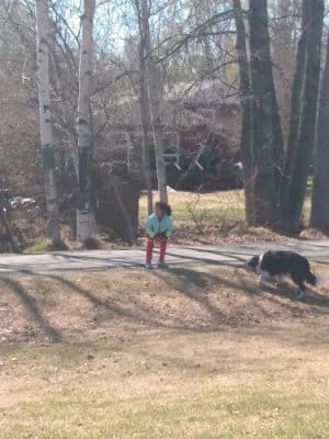 Valley of the Moon Dog Park