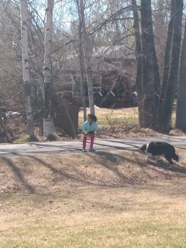 Valley of the Moon Dog Park