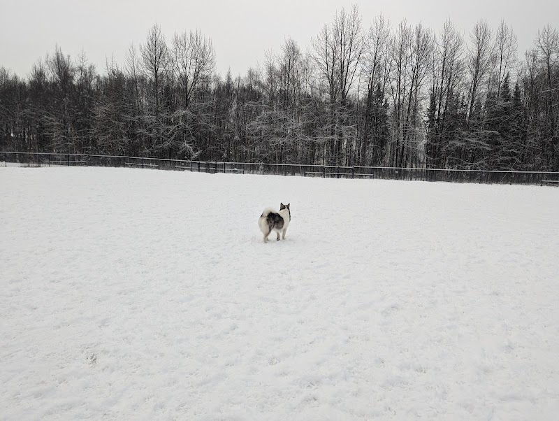 Valley of the Moon Dog Park - Anchorage, AK