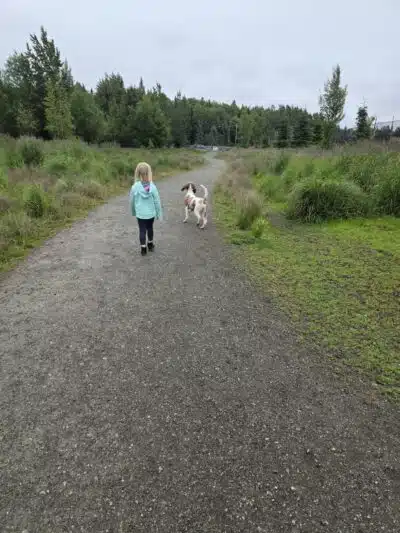 South Anchorage Dog Park - Anchorage, AK