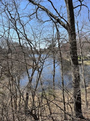 Hop River Trail - Andover, CT