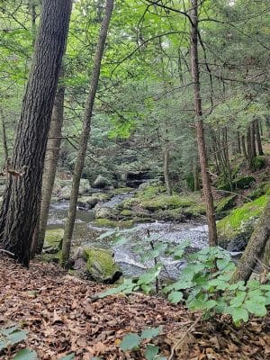 Hop River Trail - Andover, CT