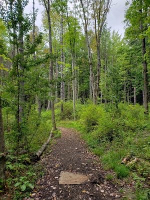 Evergreen Trails Campgrounds