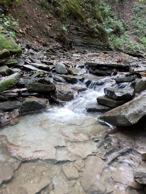 Evergreen Trails Campgrounds