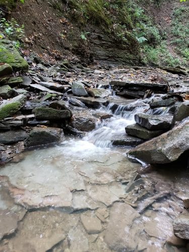 Evergreen Trails Campgrounds