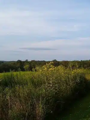 Elbert N. Kunkle Park