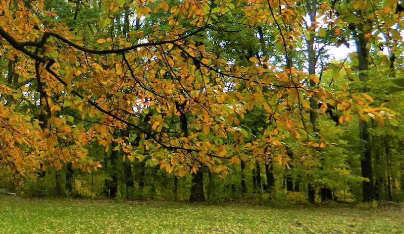Elbert N. Kunkle Park - Apollo, PA