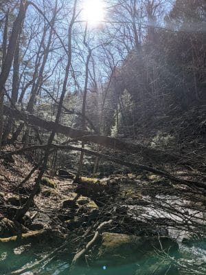 Jackson Falls