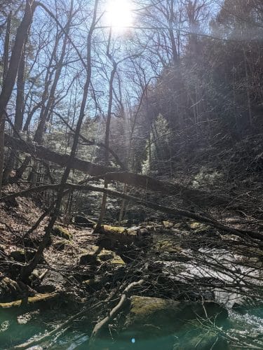 Jackson Falls