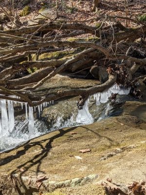 Jackson Falls