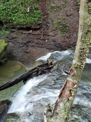Jackson Falls