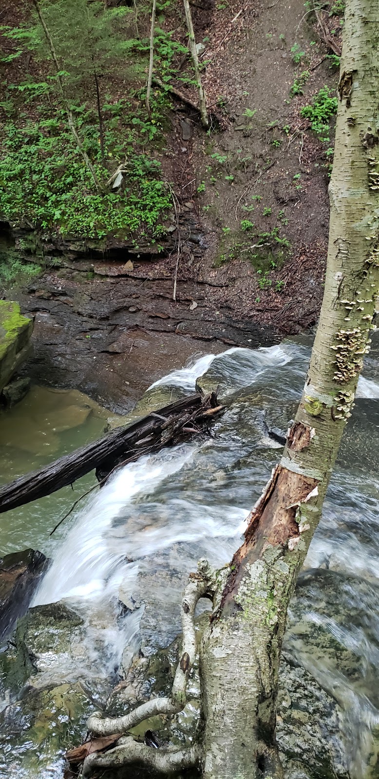 Jackson Falls - Apollo, PA