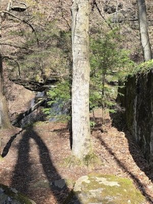 Jackson Falls