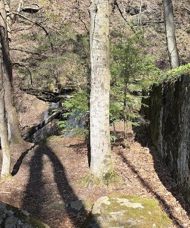 Jackson Falls