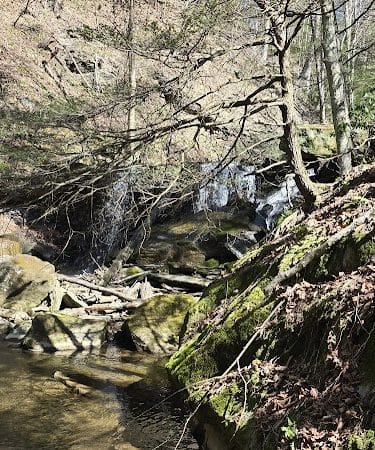Jackson Falls