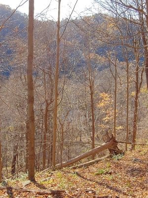 Roaring Run Trailhead