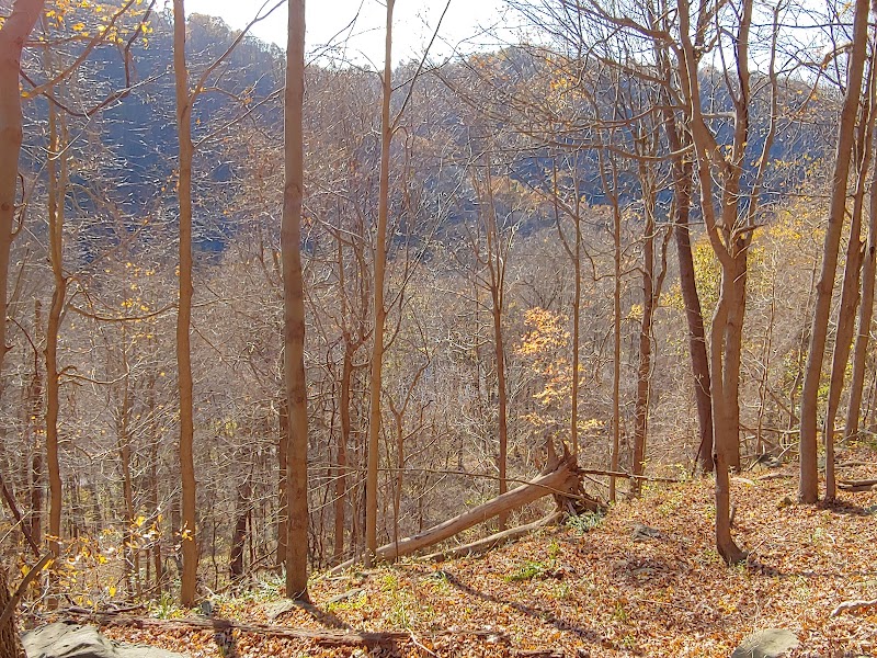 Roaring Run Trailhead - Apollo, PA