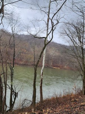 Roaring Run Trailhead