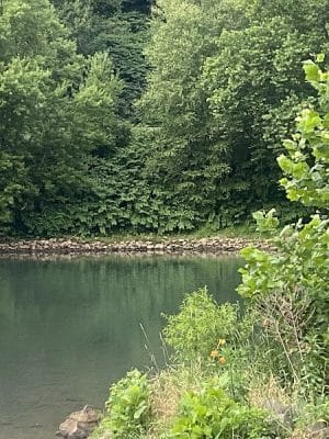 Roaring Run Trailhead
