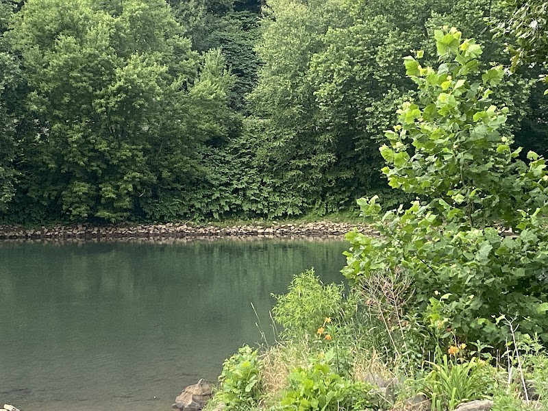 Roaring Run Trailhead - Apollo, PA