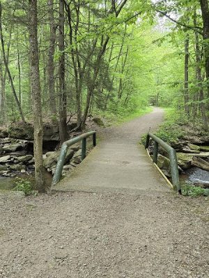Rock Furnace Trail - Trailhead