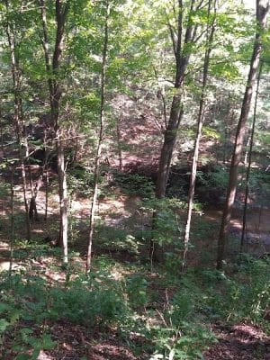 Rock Furnace Trail - Trailhead