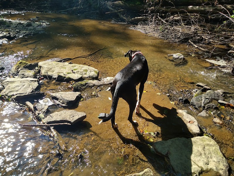 Rock Furnace Trail - Trailhead - Apollo, PA
