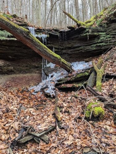 Otto & Magdalene Ackermann Nature Preserve