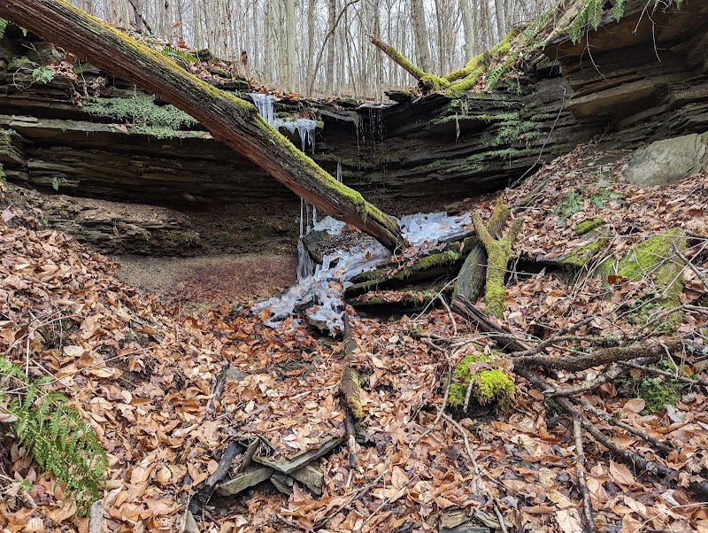 Otto & Magdalene Ackermann Nature Preserve - Ardara, PA