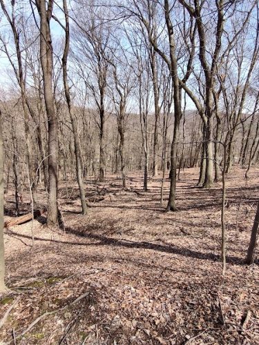 Otto & Magdalene Ackermann Nature Preserve