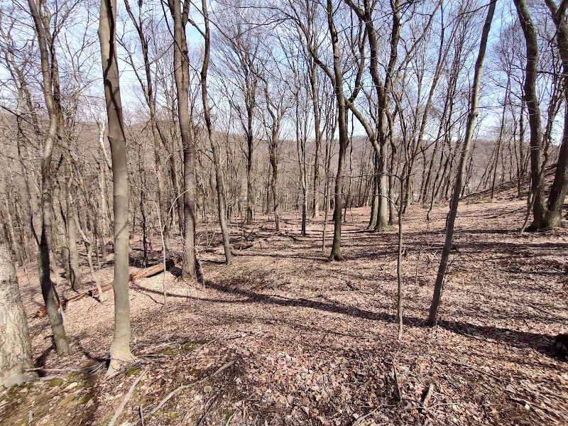 Otto & Magdalene Ackermann Nature Preserve - Ardara, PA