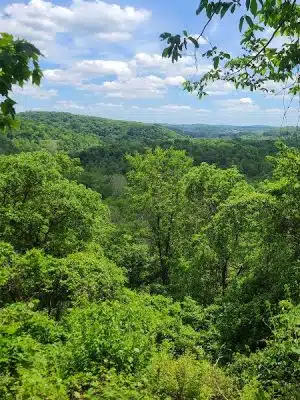 Otto & Magdalene Ackermann Nature Preserve