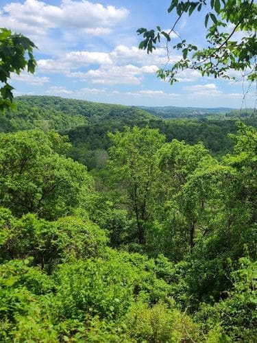 Otto & Magdalene Ackermann Nature Preserve