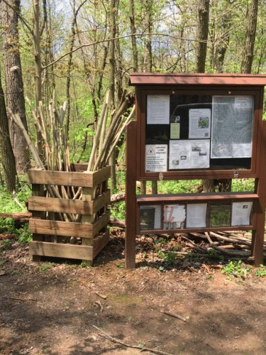 Otto & Magdalene Ackermann Nature Preserve