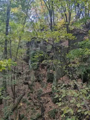Otto & Magdalene Ackermann Nature Preserve