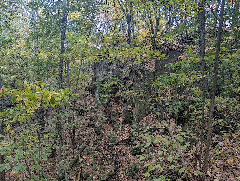 Otto & Magdalene Ackermann Nature Preserve - Ardara, PA