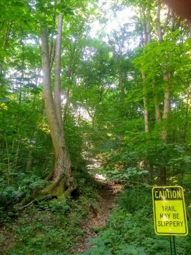 Otto & Magdalene Ackermann Nature Preserve