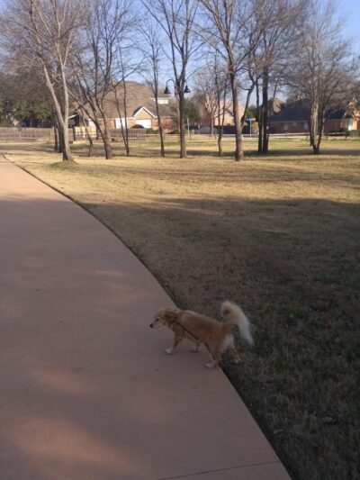 Dixon W. Holman Park - Arlington, TX