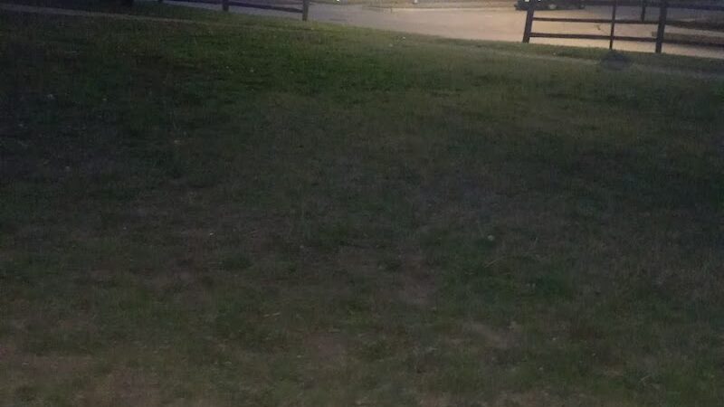 Dixon W. Holman Park - Arlington, TX