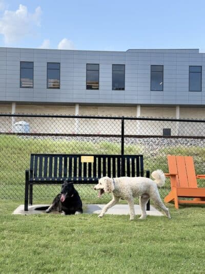 Downtown Arlington Doggie Depot - Arlington, TX