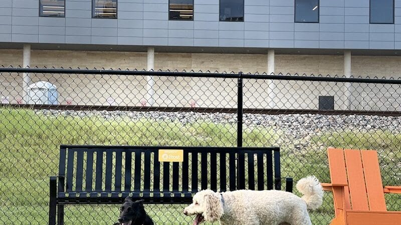 Downtown Arlington Doggie Depot - Arlington, TX
