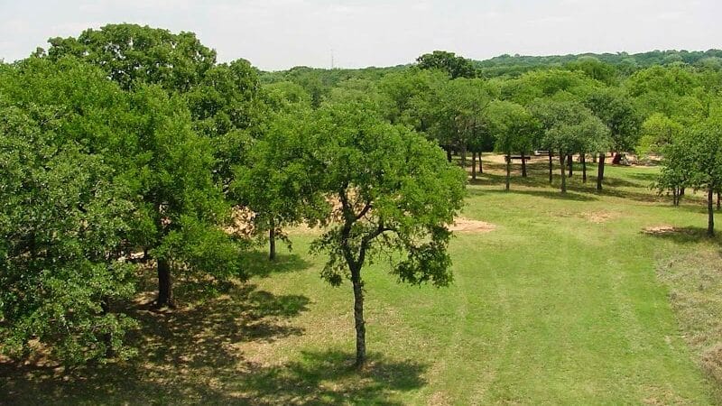 Gibbins Park - Arlington, TX