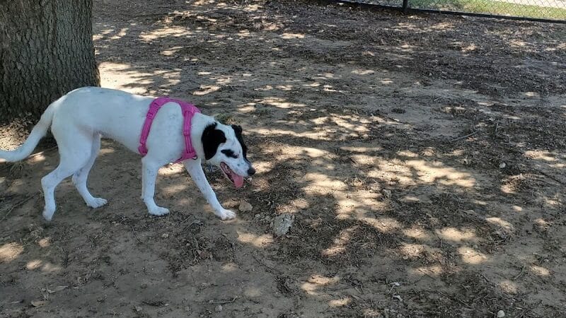 Rush Creek Dog Park #1 - Arlington, TX