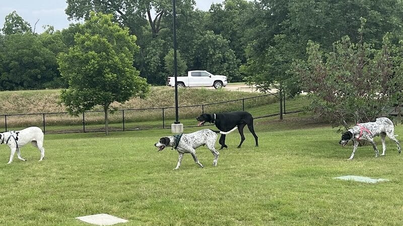 Rush Creek Dog Park #1 - Arlington, TX