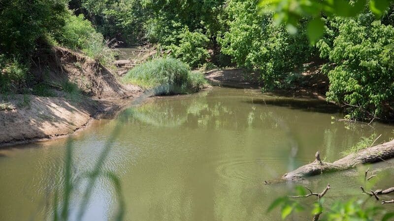 Village Creek Natural Area - Arlington, TX