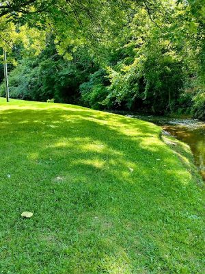 Arona Park