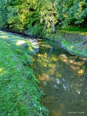Arona Park