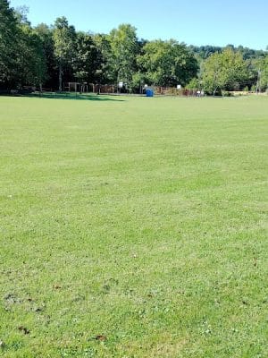 Arona Park