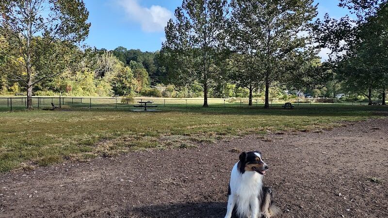 Azalea Road Dog Park - Asheville, NC