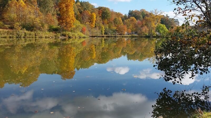 Azalea Road Dog Park - Asheville, NC